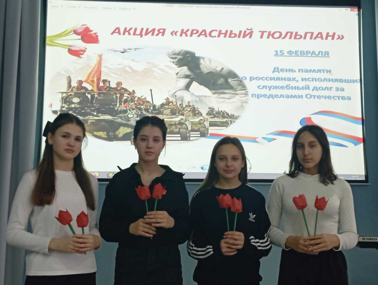 Тюльпаны.
