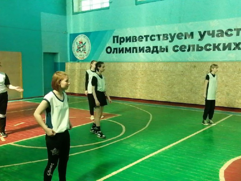 Районные соревнования по волейболу среди девушек в зачёт Спартакиады школьников.